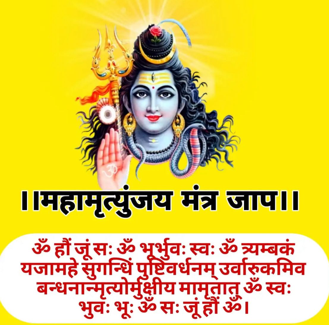 Mahamrityunjaya Jaap & Pooja