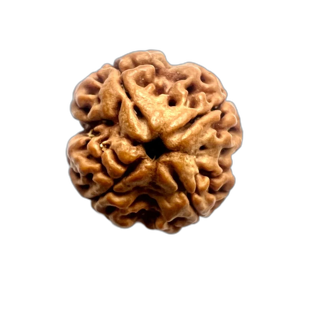 4 Mukhi