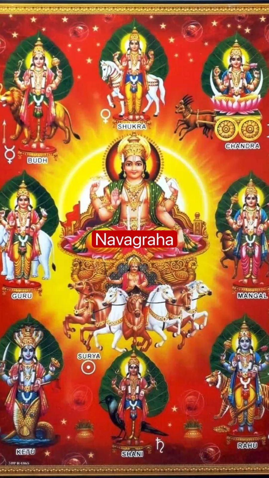 Navgrah Shanti Pooja